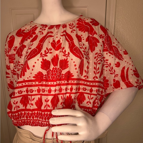 Red and White Floral Crop Top - Picture 4 of 14
